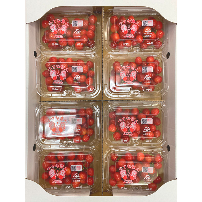 さくらんぼ佐藤錦 Lサイズ 1.6kg(200g×8パック) 【令和7年産先