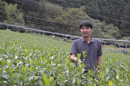 17-6 初摘み100ｇ2本詰合せ(ギフト包装)