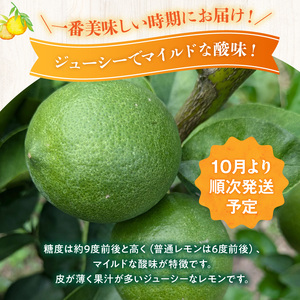 54-18　福島オレンジ農園　マイヤーレモン　3kg