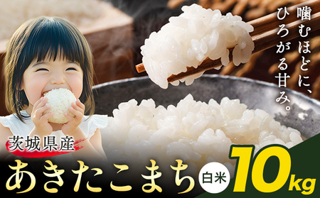 米 あきたこまち 白米 茨城 ふるさと米 10kg《1-5日以内に出荷予定(土日祝除く)》 茨城県 結城市 米 国産 お米 おこめ お弁当 おにぎり
