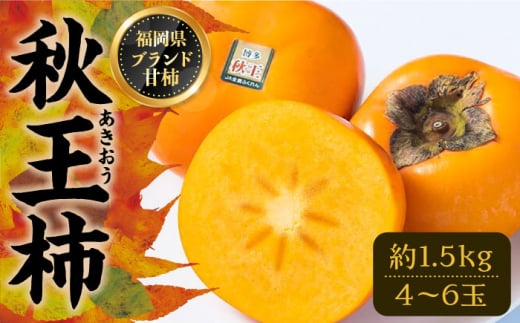 【先行予約】秋王 ( あきおう ) 柿 1.5kg 箱 (4-6玉)【2025年10月以降順次発送】《豊前市》【南国フルーツ】柿 果物 フルーツ 【※北海度・沖縄および離島への配送不可】[VBY006]