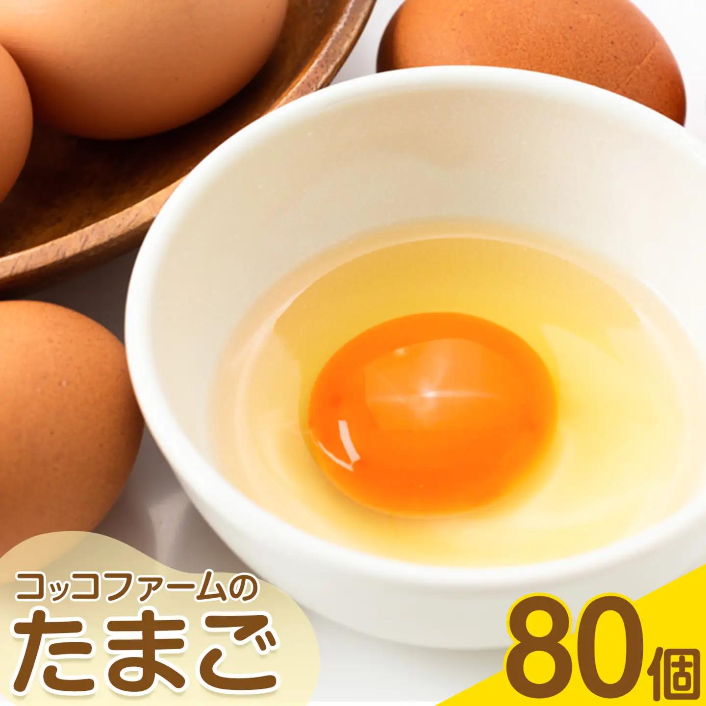コッコファームのたまご 80個 コッコファーム《90日以内に出荷予定(土日祝除く)》熊本県 菊池市 卵 鶏卵 玉子 たまご 家庭用 熊本県産 九州産 冷蔵 送料無料