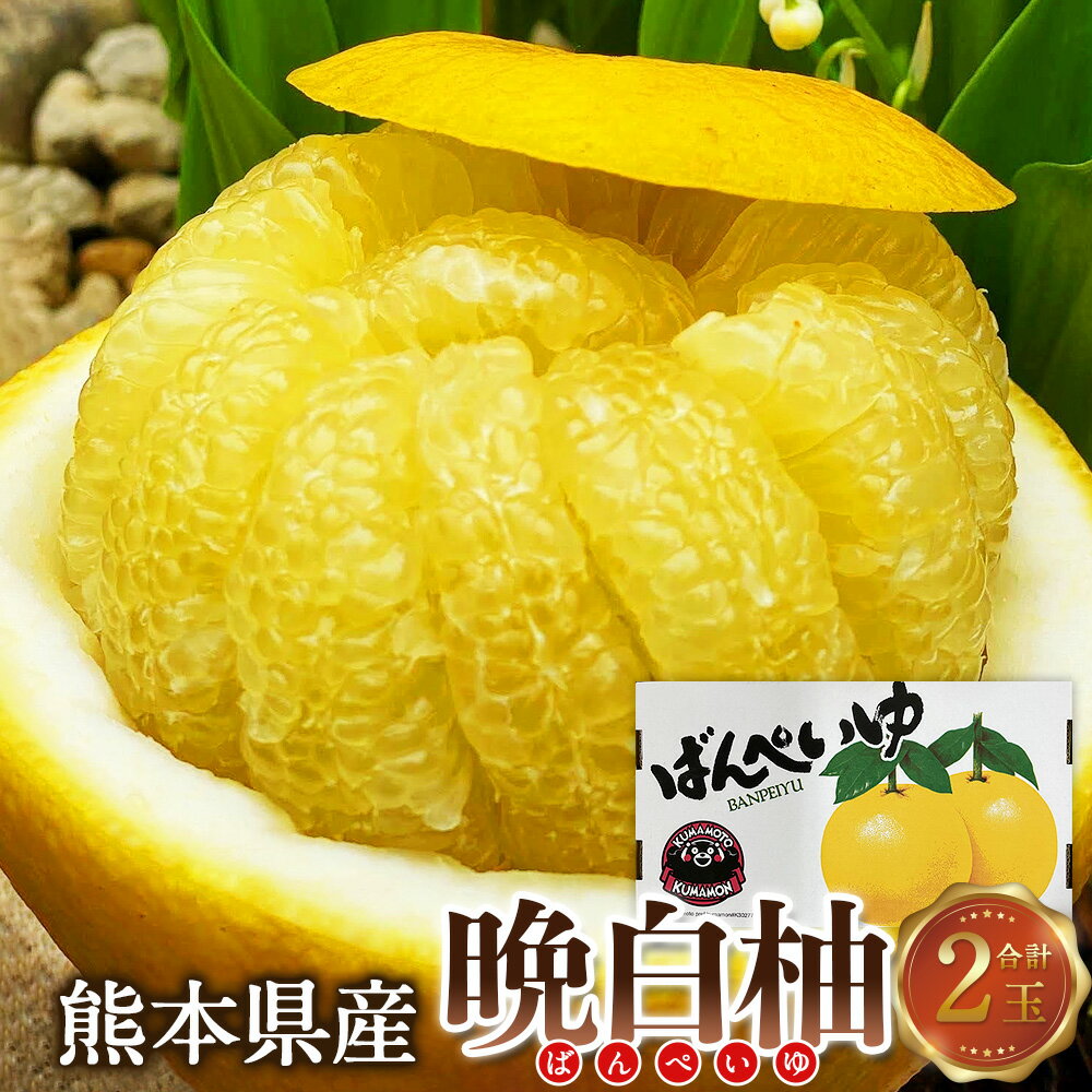 【ふるさと納税】熊本県産 晩白柚 2玉入り 2Lサイズ 合計約4kg 世界最大級 ザボン ギネス認定 柑橘 ばんぺいゆ 果物 フルーツ くだもの お取り寄せ 常温 九州 熊本県 送料無料 【2026年12月20日～2027年2月15日発送予定】