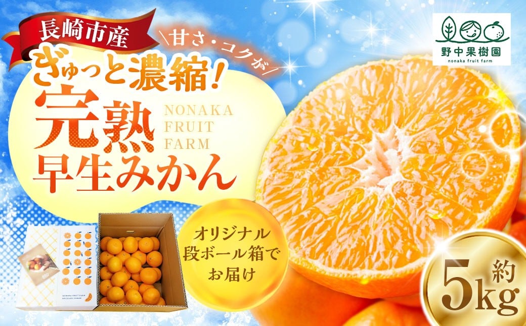 
            先行受付 完熟 早生みかん 約5kg箱 ／ 期間限定 柑橘 ミカン フルーツ 果物 くだもの みかん ミカン 野中果樹園 オンライン決済限定 アフター保証 長崎県 長崎市 【2025年11月下旬～12月下旬迄発送予定】
          