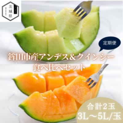 【発送月固定定期便】4月より発送予定 山一ファーム メロン食べ比べ(アンデスとクインシー)全2回【配送不可地域：離島・沖縄】【4089274】