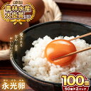 【ふるさと納税】おいしい 卵 たまご 永光卵 100個 送料無料 えいこうらん 光永ファーム 50個入り × 2箱 みつなが ゆうパック 君津市 きみつ 千葉県