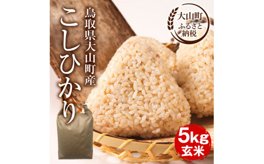 【令和8年10月以降発送新米】MS-106　大山町産こしひかり【大山の一粒】5ｋｇ（玄米）