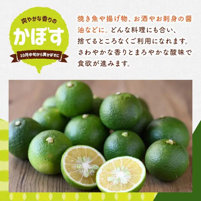 ＜2026年8月上旬以降お申込み順に発送＞露地カボス(約5kg)かぼす カボス 柑橘 特産品 大分県産【107100403】【あいはな農園】