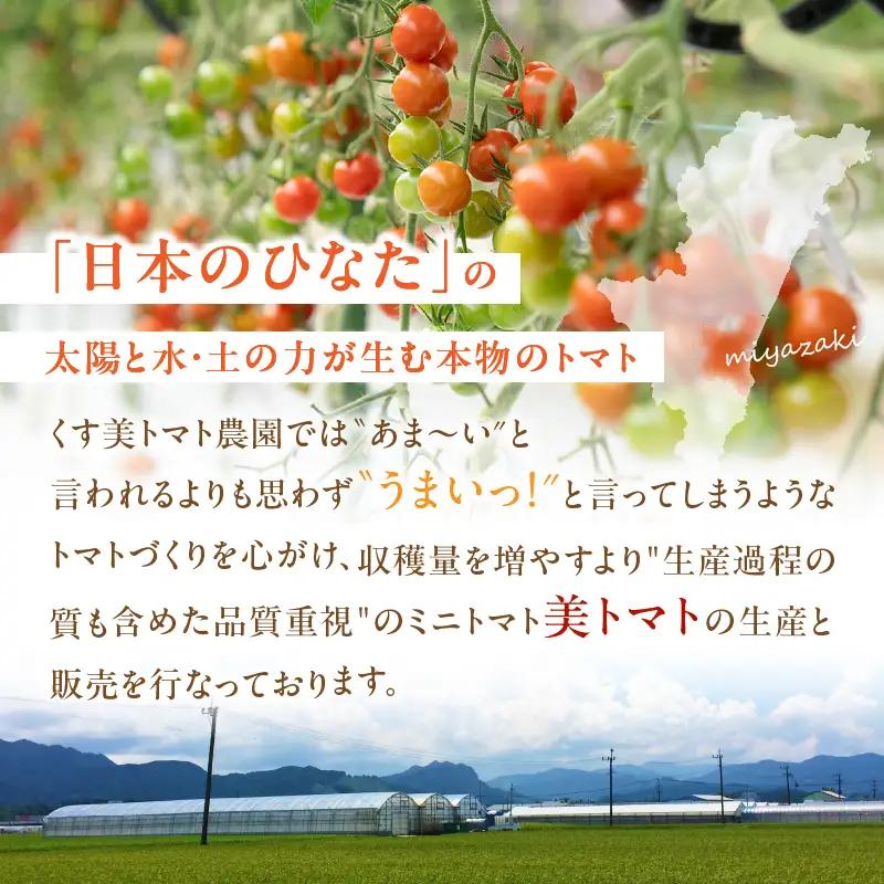 美トマトのワイン煮セット ギフト 赤ワインコンポート 白ワインジュレ