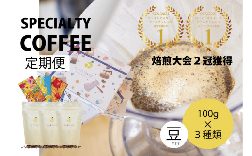 
定期便 6回 【日本一の焙煎士厳選】珈琲 豆 100g×3種 スペシャルティコーヒー 飲み比べ [日向珈琲 宮崎県 日向市 452060430] コーヒー 焙煎 自家焙煎 詰め合わせ
