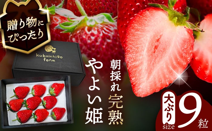 【先行予約】 ＼毎年12月より順次発送／ やよい姫 9粒 いちご フルーツ 果物 愛西市 / くぼ苺農園 【配達不可：北海道・沖縄・離島】[AECJ012]