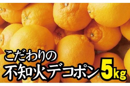不知火 デコポン同品種 約5kg 【光センサー選別】【nuk111C】