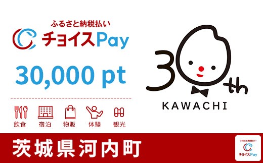 
                  河内町チョイスPay 30,000pt【会員限定のお礼の品】
                
