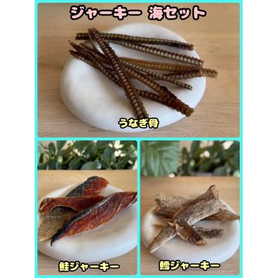ふるさと納税 富田林市 【ふるさと納税限定セット】【わんちゃん用ペットフード】 WalkyHoliday ジャーキー海セット