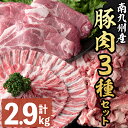 【ふるさと納税】南九州産豚肉3種セット(切り落し・バラスライス・とんかつ)(計2.9kg) 豚肉 豚バラ バラ バラスライス ロース とんかつ トンカツ 小分け 真空パック 2種 セット 食べ比べ しゃぶしゃぶ 国産 南九州産 志布志 志布志市【羽根】a5-270