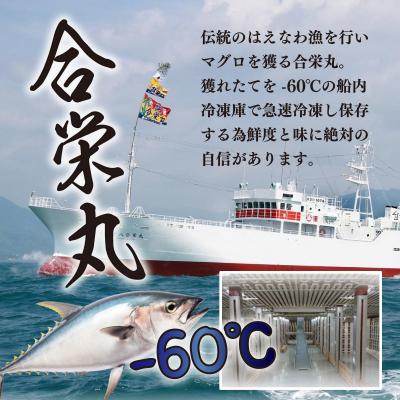 ふるさと納税 室戸市 【船元直送】厳選天然本マグロ豪華定期便【全5回】 |  | 02