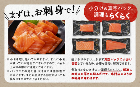 サーモン 大人気 2026年5月末までにお届け エンペラーサーモン 900g_T015-0910-2605