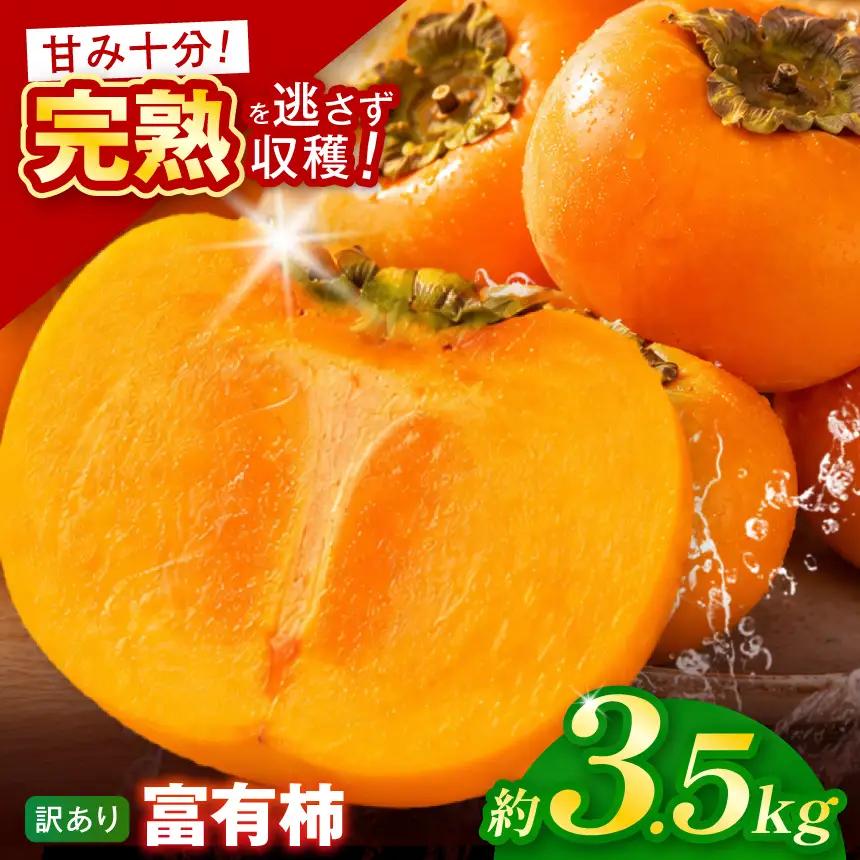 【訳あり品】先行予約 令和8年11月中旬順次発送 富有柿 ( 12 ~ 14個 ／ 3.5kg ) 1箱 | さのっち農園