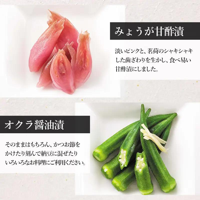【令和8年発送 先行予約】 夏限定！　浅漬詰合せ　［K-723］ 株式会社 本長