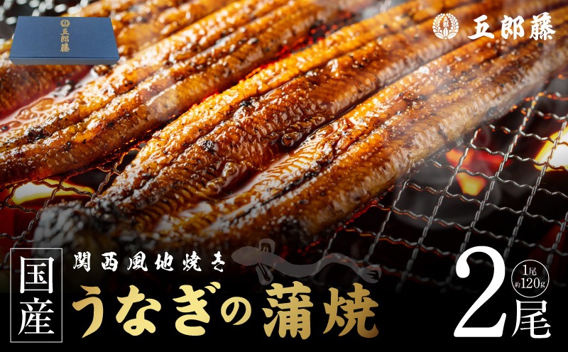 099H5078 【贈答用】五郎藤 関西風地焼き 国産有頭旨鰻 120g×2尾 計約240g うなぎ ウナギ 蒲焼き 炭火
