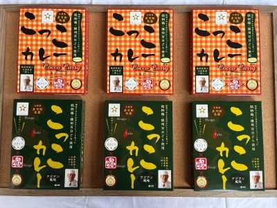 すぎはら川 こっこカレー レトルトカレー オリジナル アジアン風味 常温 温めるだけ 播州百日どり 非常食 アウトドア キャンプ飯 お手軽[270]