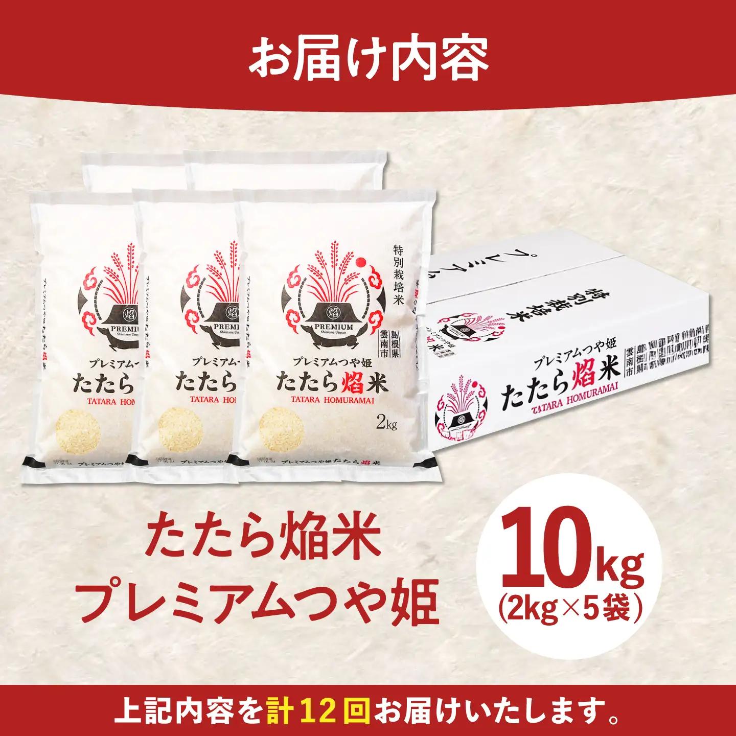 新米 【12回定期便】 プレミアムつや姫 10kg 新米 [AIBR024-r8]