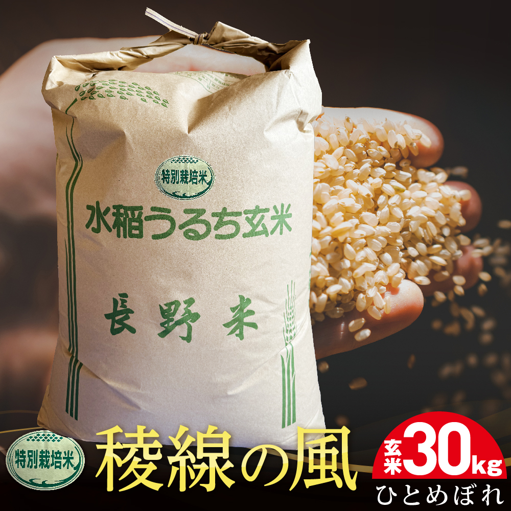 特別栽培米　稜線の風（ひとめぼれ）玄米 30kg　【2025年9月下旬頃～順次発送予定】