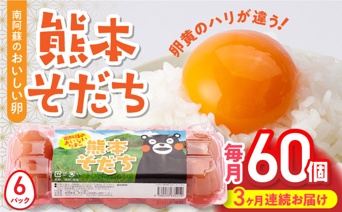 
【全3回定期便】熊本そだち 60個入り ( 10個入り × 6パック ) 熊本県産 山都町 たまご 卵 玉子 タマゴ 鶏卵 オムレツ 卵かけご飯 朝食 料理 人気 卵焼き【蘇陽農場】[YBE034]
