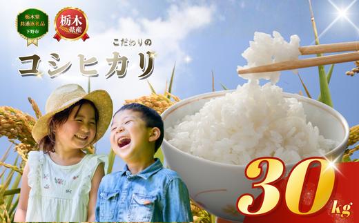 コシヒカリ こしひかり 約30kg 米 お米 こめ コメ | もちもち 白米 ごはん ご飯 おすすめ 小分け 人気 おいしい おにぎり おむすび お弁当 限定 栃木県共通返礼品 栃木県 下野市 送料無料