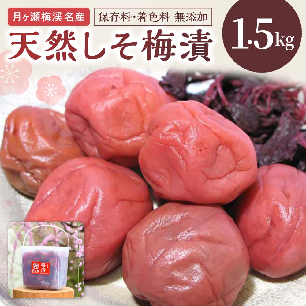 【ふるさと納税】梅漬 梅干し 梅 月ヶ瀬梅渓名産 天然しそ梅漬 1.5kg ご飯のお供 うめ干し 無添加 おにぎり お弁当 お取り寄せ 自家製 グルメ ギフト プレゼント 贈答品 お礼の品 お祝い 新生活 新築祝い なら 奈良県 奈良市 11-078