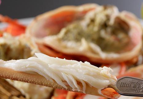 かに卸問屋がお届け・自社釜ゆで！幻のゆで間人ガニ 900ｇ～1ｋｇ 特大サイズ（1月～3月発送）／北畿水産　HK00222