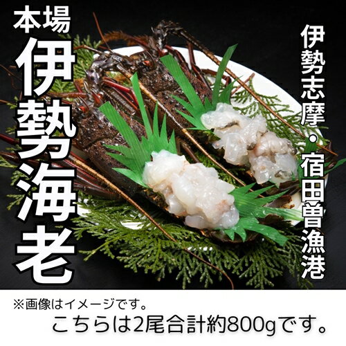 【ふるさと納税】 （冷凍） 伊勢志摩産 活〆伊勢海老 2尾 姿造り 生食用 （L） ／ 丸池 伊勢えび イセエビ 特産 三重県 南伊勢町 伊勢志摩