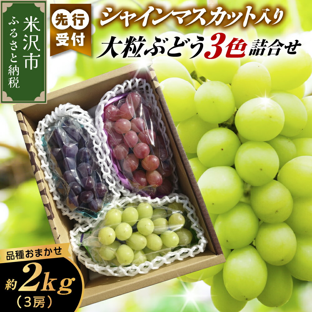 【ふるさと納税】【 先行予約 数量限定 】【 令和7年産 】 シャインマスカット 入り 3色 大粒 ぶどう 詰合せ 2.0kg 3房 ( 9月中旬 ～ 下旬頃 お届け ) 2025年産 農家直送 産地直送 マスカット 葡萄 果物 フルーツ 種無し 3品種 品種おまかせ 詰め合わせ セット 山形県 米沢市