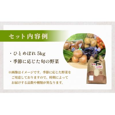 ふるさと納税 石巻市 <数量限定>石巻産 お米と季野菜セット 朝採れ 旬の野菜 季節の野菜 お野菜 詰め合わせ 食材 新鮮 |  | 02