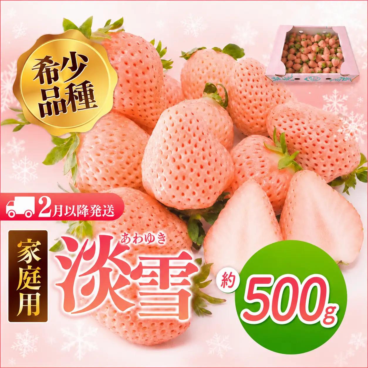 【2月以降発送】ご家庭用淡雪 約500g ｜ フルーツ 果物 いちご 淡雪 熊本 玉名