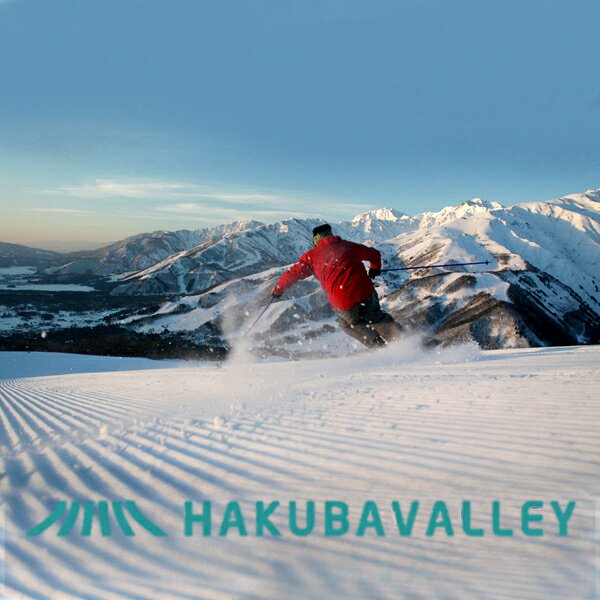 【ふるさと納税】HAKUBA VALLEY 10スキー場共通1日券 大人券 （13歳以上対象） 選べる！【1枚・3枚・5枚】　長野県白馬村・小谷村・大町市　北アルプス　白馬バレー　全10スキー場　ゲレンデ　スキー・スノーボード　先行予約　旅行　スノーリゾート