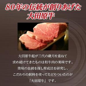 大田原牛 100％ サイコロビーフシチュー 3パックセット | レトルト シチュー 和牛 牛肉 ビーフ 高級