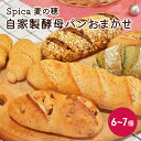 【ふるさと納税】自家製酵母パンおまかせ6～7個セット　【 ベーカリー ドイツ こだわり 美味しい 完全自給 植物性乳酸菌 食べやすい i蒸し焼き しっとり 酸味 冷凍 おすすめ 】