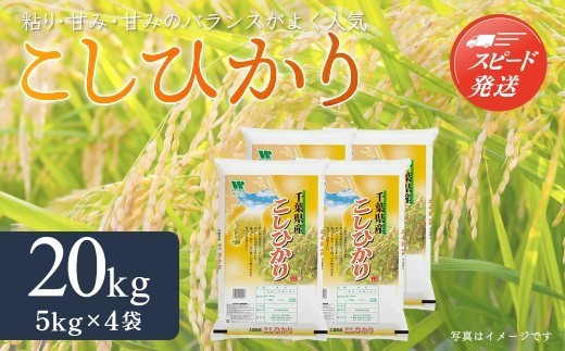 【最短2～7営業日出荷】令和7年産 千葉県産「コシヒカリ」20kg（5kg×4袋） ふるさと納税 米 20kg コシヒカリ 千葉県 大網白里市 送料無料 A024