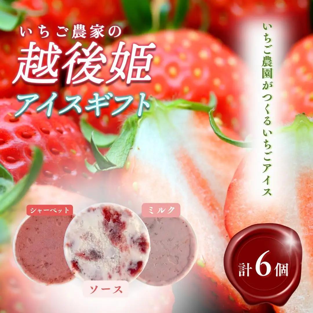 越後姫 アイス ギフト 6個セット 冷凍 新潟 アイス