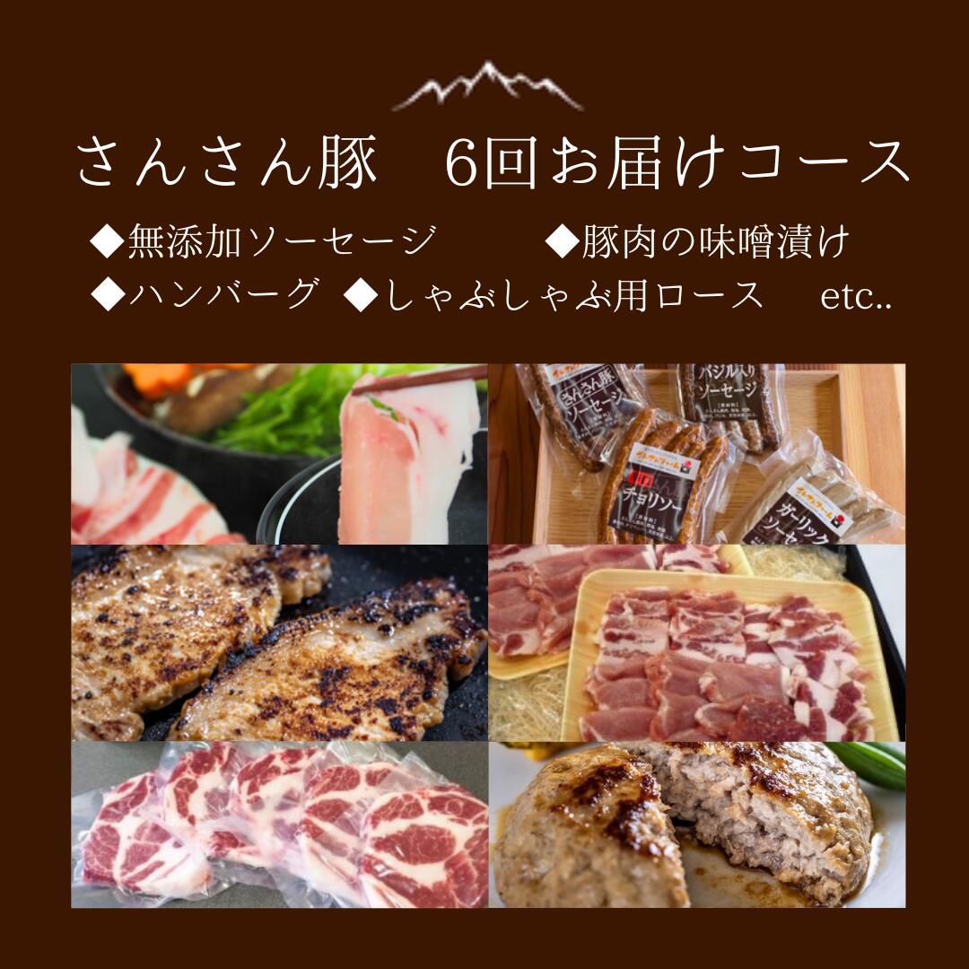 【ふるさと納税】さんさん豚6回お届けコース //（翌月より6ヶ月） 長野県産豚肉 南信州 ポーク ステーキ バークシャー種 薄切り 味噌漬け 安全 安心 定期便 毎月届く 贈答 ギフト SF07