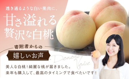 桃 2027年 先行予約 白桃 3玉 合計約800g もも モモ 岡山県産 国産 フルーツ 果物 ギフト