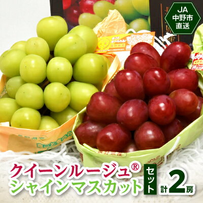 【ふるさと納税】JA中野市直送!長野県オリジナルぶどう「クイーンルージュ(R)」とシャインマスカット 計2房セット_ ブドウ ぶどう 葡萄 フルーツ 果物 くだもの 甘い マスカット セット 食べ比べ 長野県 信州 産直 ギフト 贈り物 【配送不可地域：離島】【1478910】