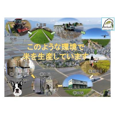 ふるさと納税 阿賀野市 【令和7年産新米】【2ヶ月定期便】コシヒカリ「ファームホリコシ美田米」 10kg(5kg×2袋) |  | 01