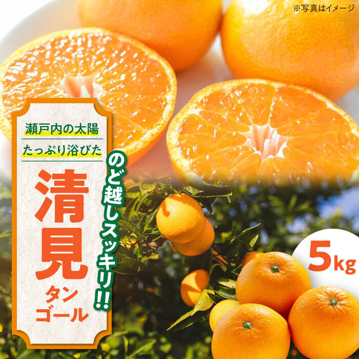 【ふるさと納税】【先行予約】【2026年3月下旬から順次発送】清見タンゴール 5kg | 人気 おすすめ ランキング おいしい 甘い 果物 フルーツ みかん ミカン オレンジ 大洲市/永沼農園[AGAW005] 10000 10000円 以上
