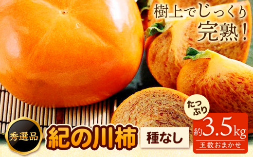 【先行予約】希少 紀の川柿 約3.5kg~4kg（種無し） 秀選品 (玉数おまかせ) 厳選館 《2024年10月中旬-11月末頃出荷》 和歌山県 日高町 柿 カキ かき ジューシー フルーツ 青果 果物