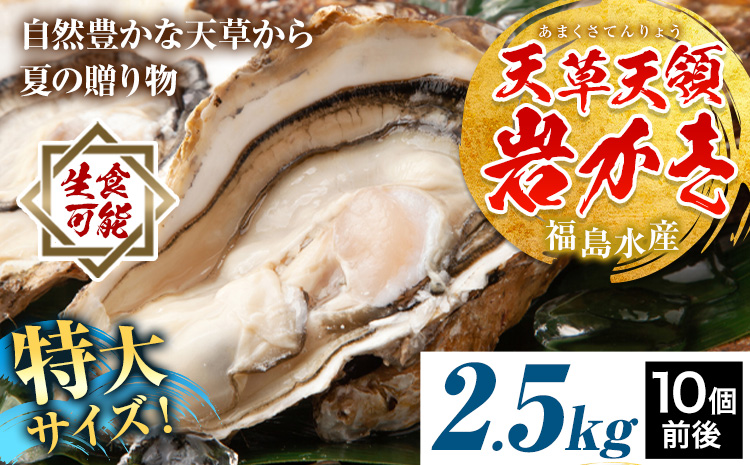 【先行予約】天領岩牡蠣 約2.5kg 福島水産《2026年4月上旬-7月末頃出荷予定》熊本県 苓北町 牡蠣 かき カキ 岩カキ 岩ガキ 貝 BIG ビッグ 生食 バーベキュー 夏天草 天領 苓北 熊本 旬 シーズン 送料無料【配送不可地域あり】