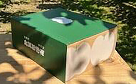 【2025年分先行予約】【100年続く梨農家直送】【化粧箱入り】温室幸太郎（幸水）5-6個入（約2.3kg）/ 梨 伊万里梨 なし / 佐賀県 / 大川三世代[41AEAB013]