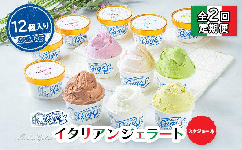 【定期便：全2回】ジェラテリアGigiのイタリアンジェラート6種(Gigiのおまかせ1種入り）【カップサイズ12個】【43006901】