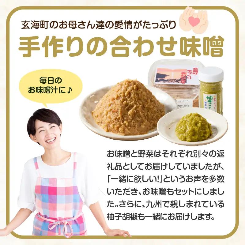 手作り合わせ味噌と新鮮野菜セット ／ 野菜【A095】